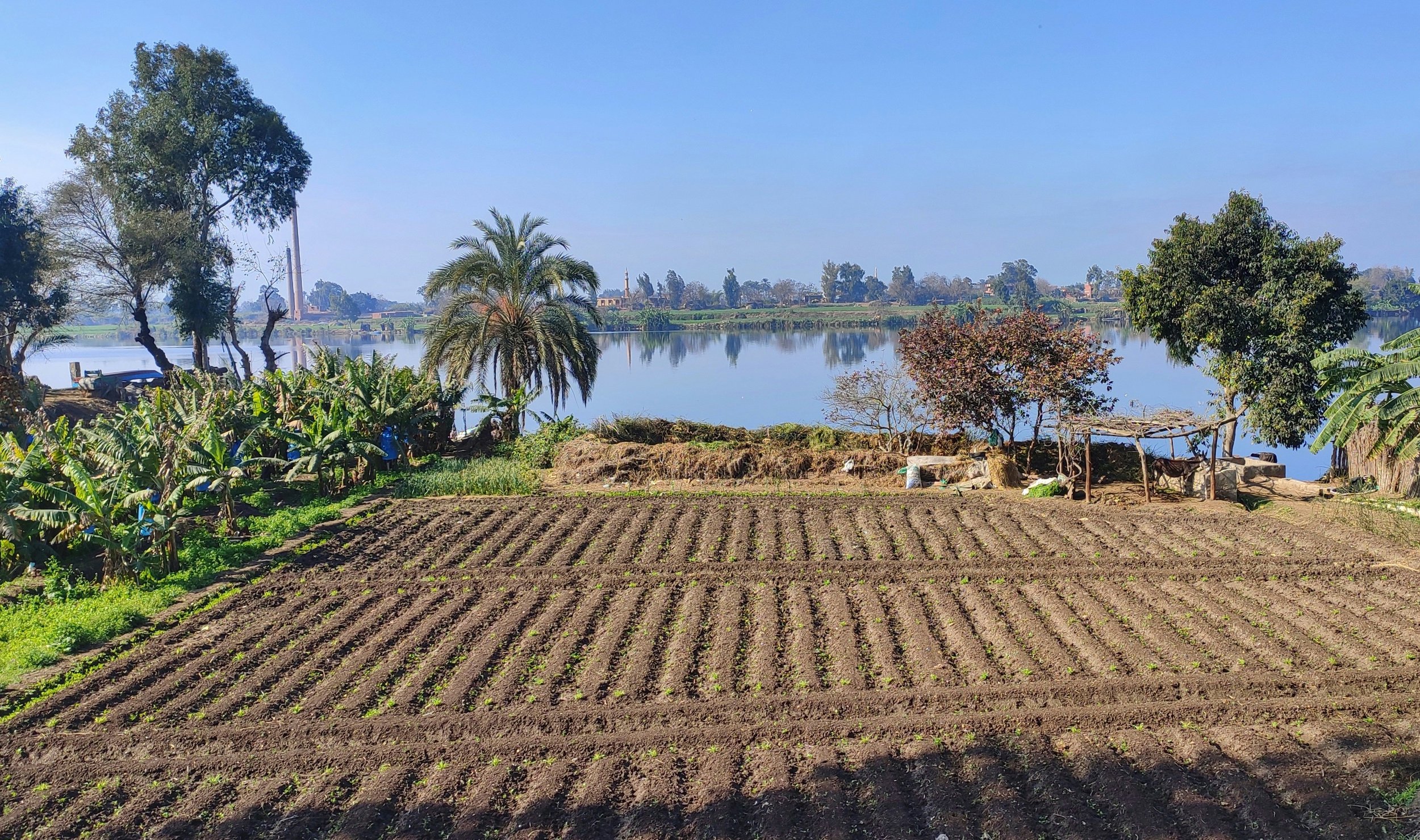 A scenic view of a rural farmland with freshly plowed fields, lush green trees, and a calm body of water in the background under a clear blue sky.